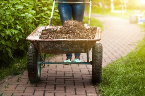 Pruned and healthy plants after garden clearance